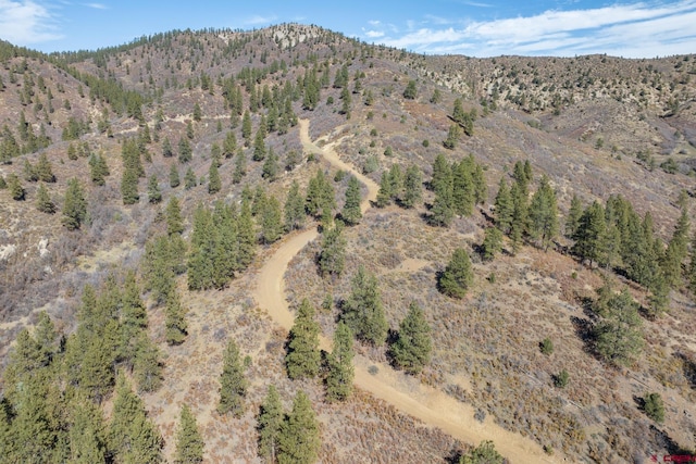 birds eye view of property featuring a mountain view