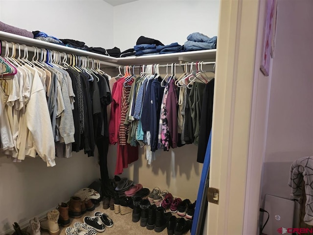 spacious closet with carpet