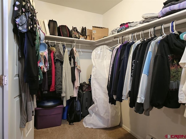 walk in closet featuring carpet floors