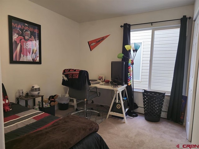 bedroom with multiple windows and carpet floors