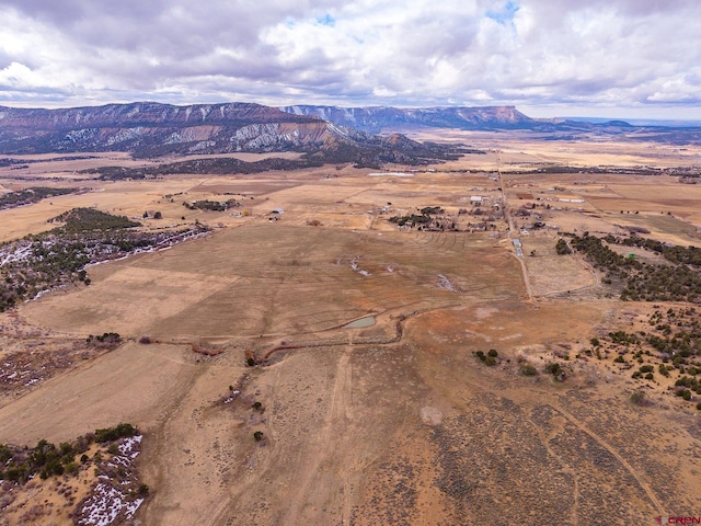 drone / aerial view featuring a mountain view