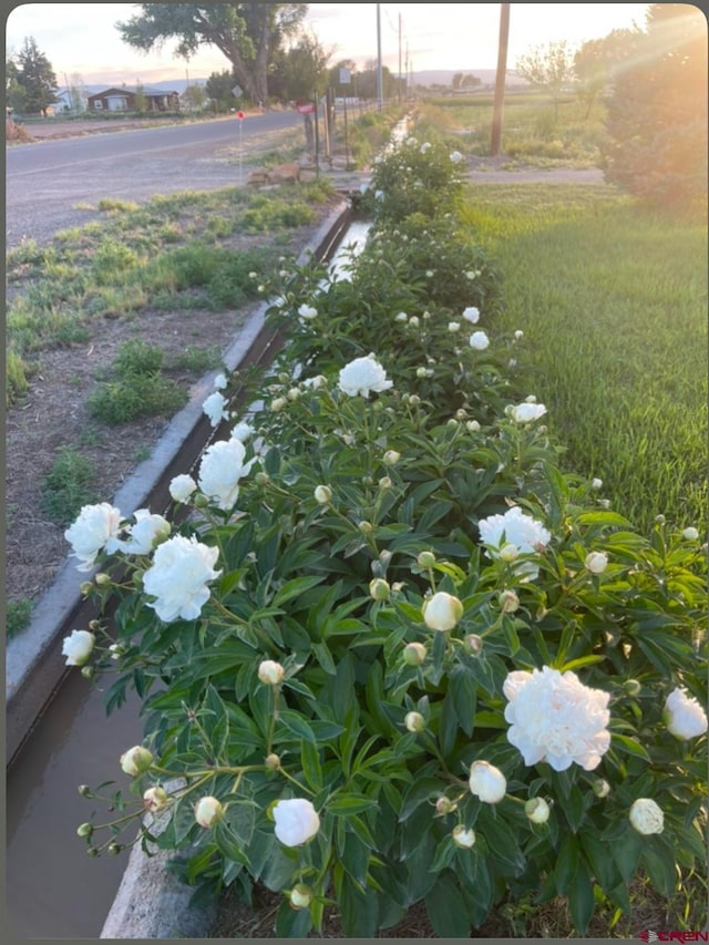 14977 F Rd, Delta, CO 81416 - view of yard