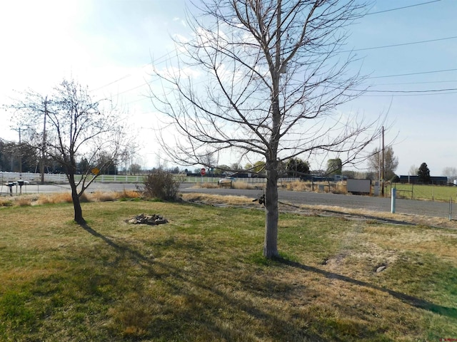 14977 F Rd, Delta, CO 81416 - view of yard