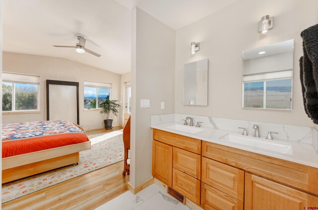 ensuite bathroom with vaulted ceiling, a healthy amount of sunlight, and a sink