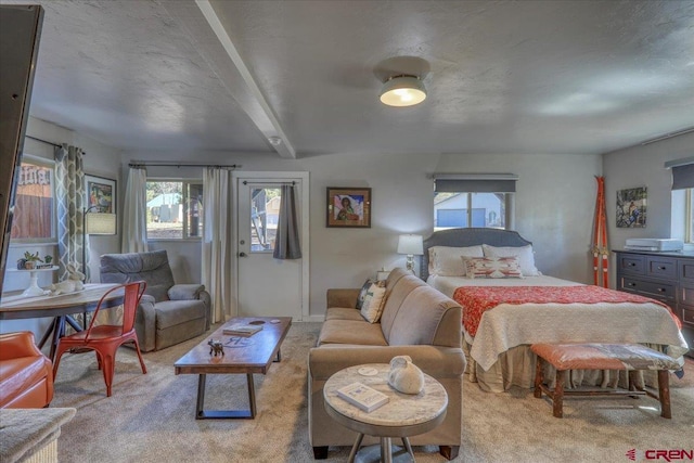 carpeted bedroom featuring multiple windows and access to outside