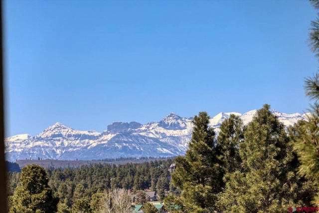 view of mountain feature featuring a wooded view