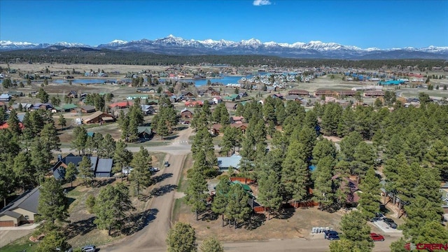 drone / aerial view with a mountain view