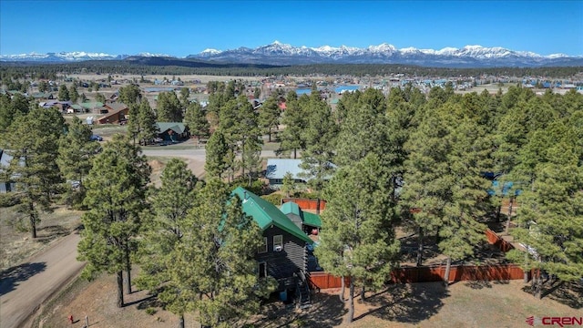 birds eye view of property with a mountain view