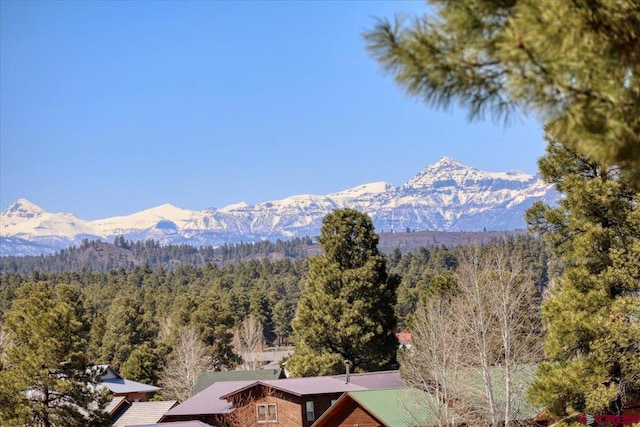 view of mountain feature with a forest view