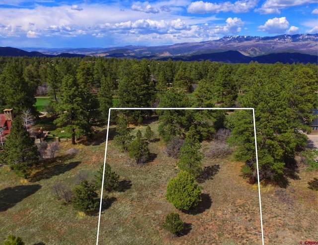 170 Puma Ln, Ridgway CO, 81432 land for sale