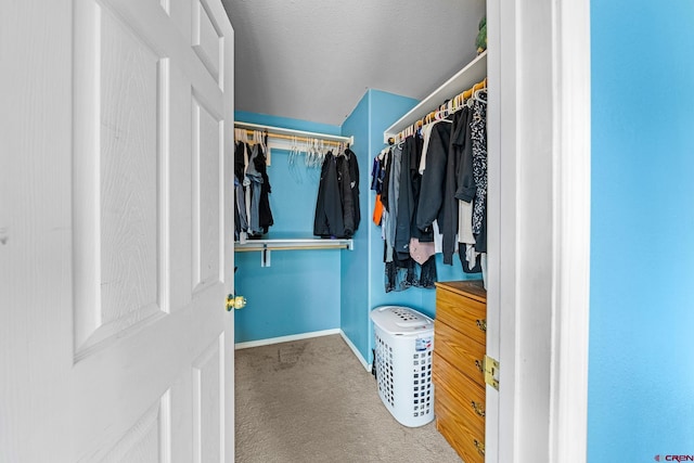 spacious closet with carpet floors