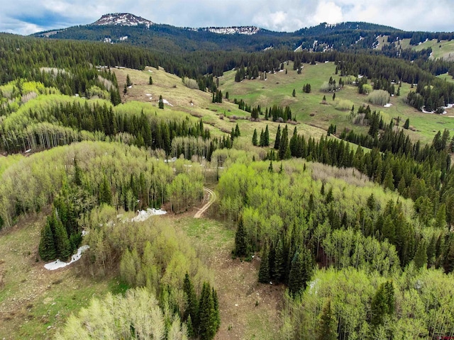 1250 Red Mountain Ranch Upper Loop, Crested Butte, CO 81224