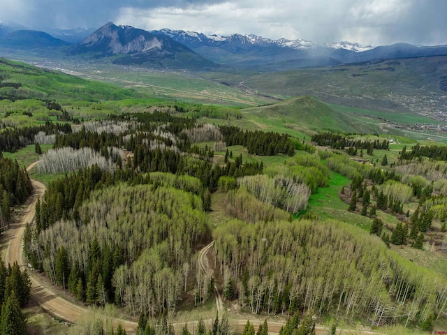 1250 Red Mountain Ranch Upper Loop, Crested Butte, CO 81224