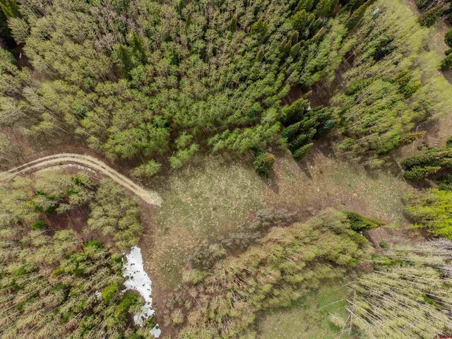 1250 Red Mountain Ranch Upper Loop, Crested Butte, CO 81224