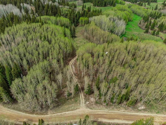 1250 Red Mountain Ranch Upper Loop, Crested Butte, CO 81224