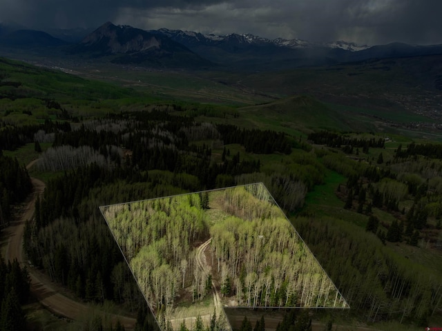 1250 Red Mountain Ranch Upper Loop, Crested Butte, CO 81224