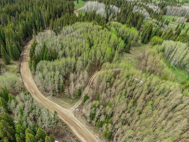 1250 Red Mountain Ranch Upper Loop, Crested Butte, CO 81224