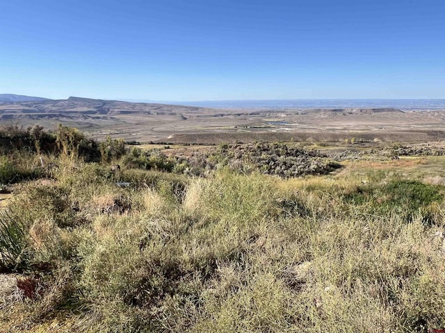 TBD Payne Siding Rd, Hotchkiss, CO 81419