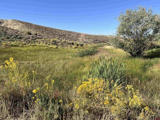 TBD Payne Siding Rd, Hotchkiss, CO 81419