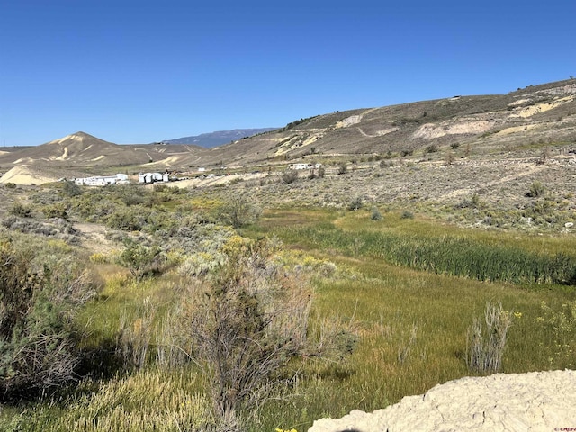 TBD Payne Siding Rd, Hotchkiss, CO 81419