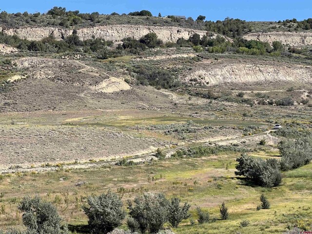 TBD Payne Siding Rd, Hotchkiss, CO 81419