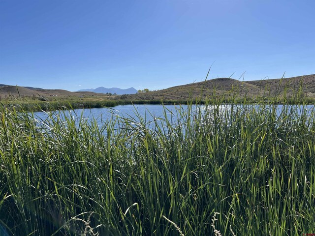 TBD Payne Siding Rd, Hotchkiss, CO 81419