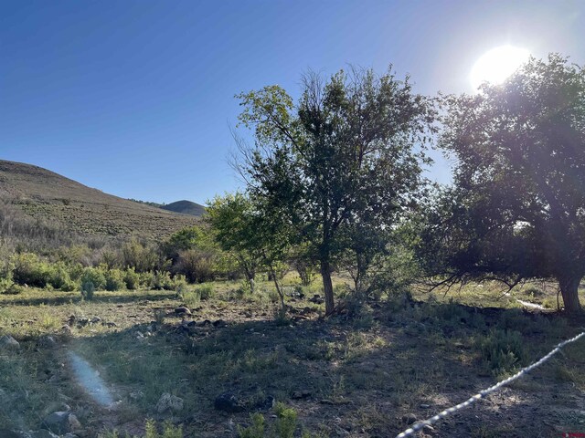 TBD Payne Siding Rd, Hotchkiss, CO 81419