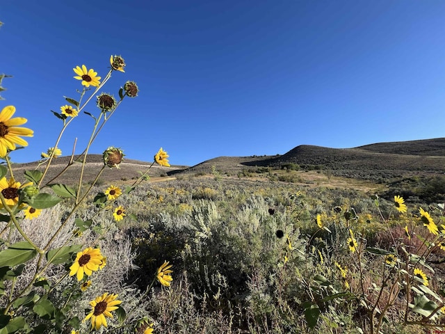 TBD Payne Siding Rd, Hotchkiss, CO 81419