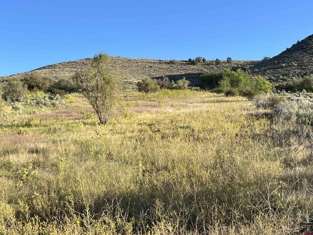 TBD Payne Siding Rd, Hotchkiss, CO 81419