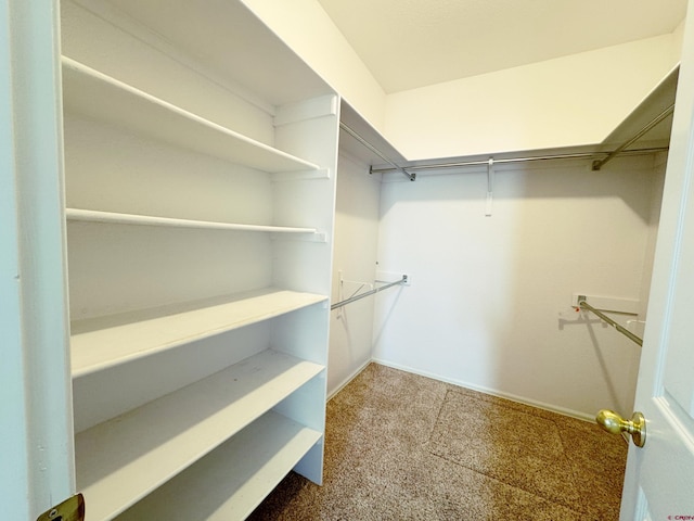 spacious closet with carpet floors