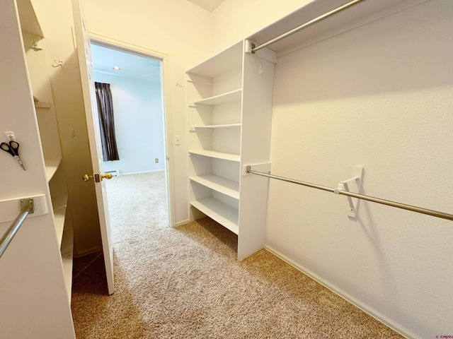 walk in closet with carpet