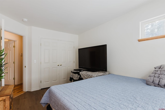 bedroom with dark wood finished floors and a closet