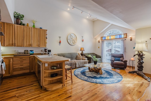 kitchen featuring open shelves, a peninsula, and open floor plan