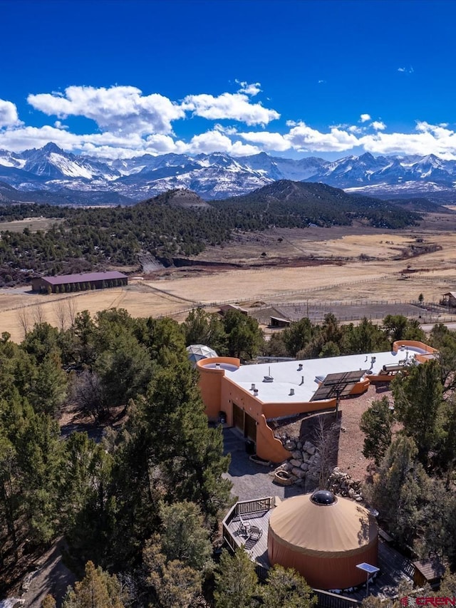 1137 Pleasant Point Dr, Ridgway, CO 81432 - mountain view