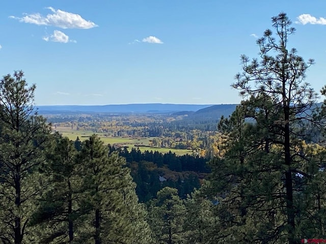 property view of mountains featuring a view of trees