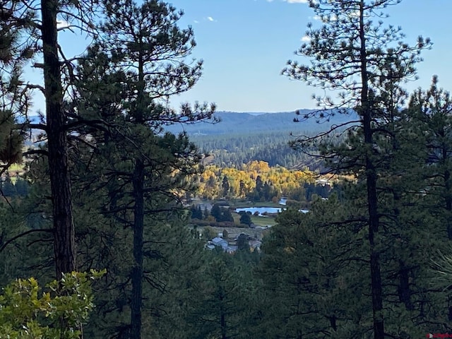 property view of mountains featuring a view of trees and a water view