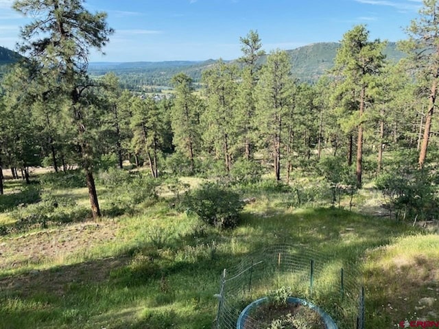 property view of mountains with a wooded view