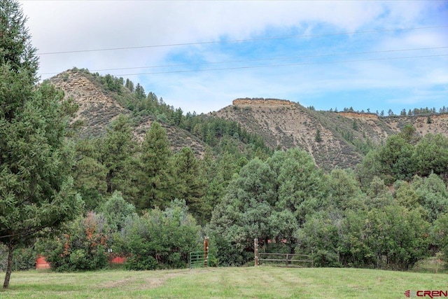 property view of mountains featuring a wooded view