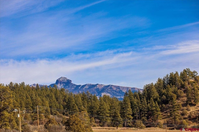 view of mountain feature featuring a wooded view