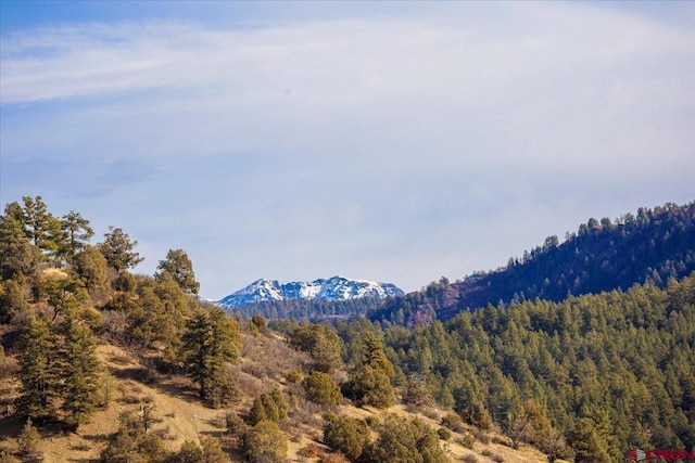 view of mountain feature featuring a view of trees