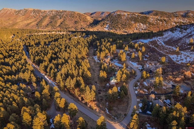 mountain view with a wooded view