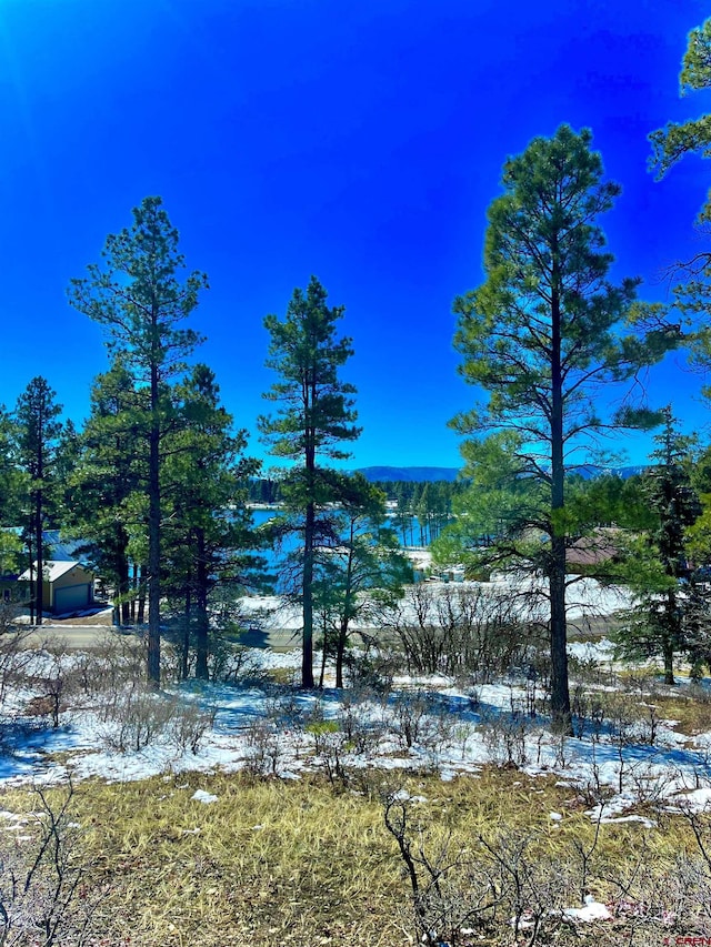 1318 Cloud Cap Ave, Pagosa Springs CO, 81147 land for sale