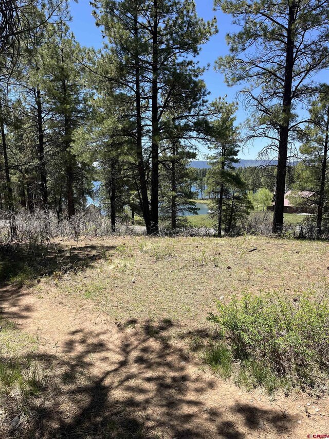 1318 Cloud Cap Ave, Pagosa Springs, CO 81147