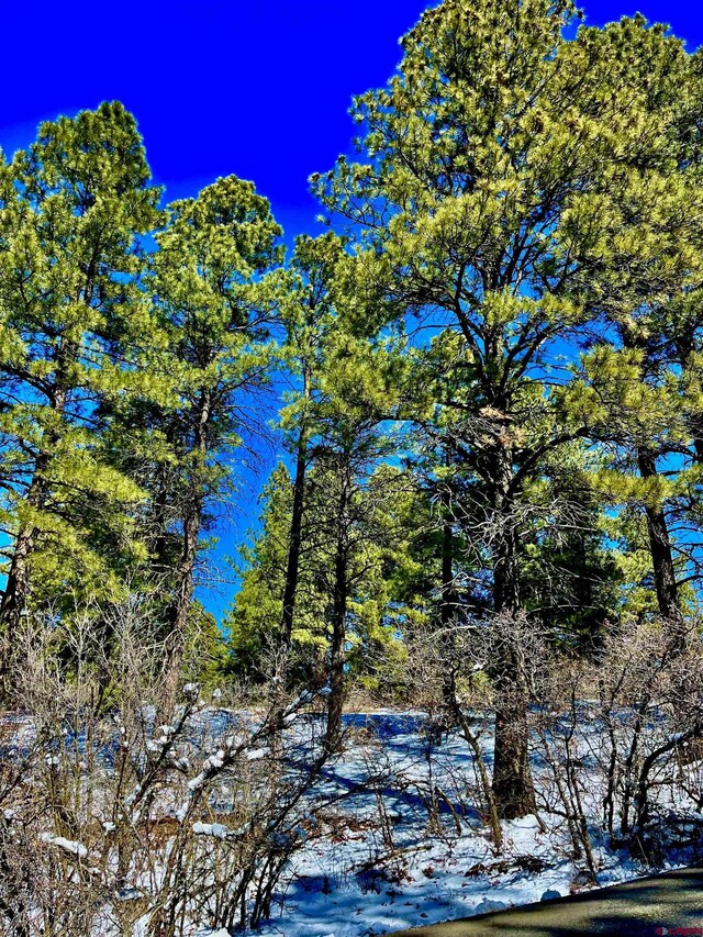 1318 Cloud Cap Ave, Pagosa Springs, CO 81147