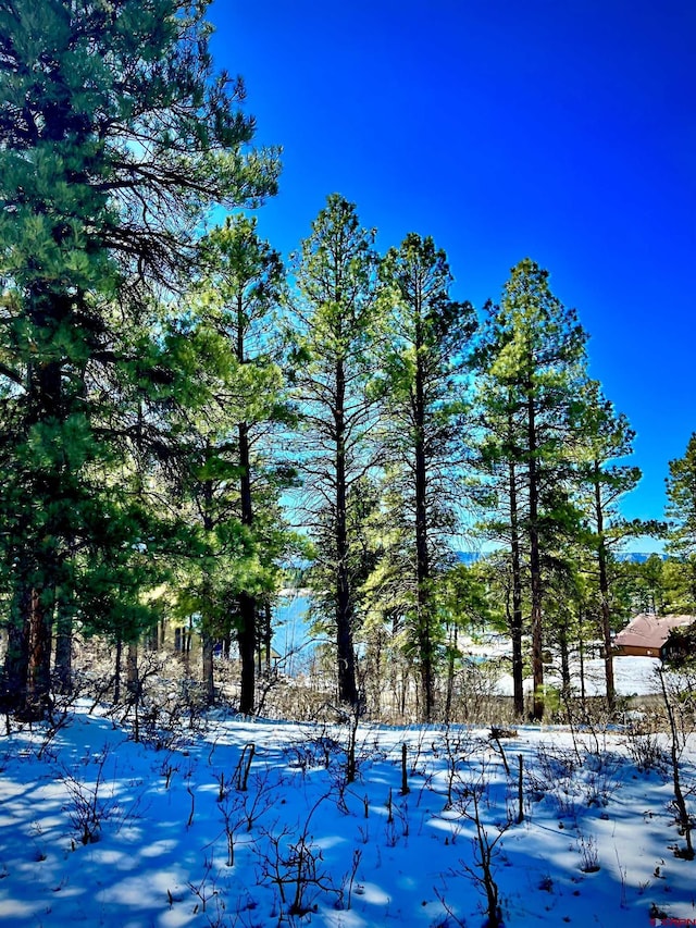 Listing photo 2 for 1318 Cloud Cap Ave, Pagosa Springs CO 81147