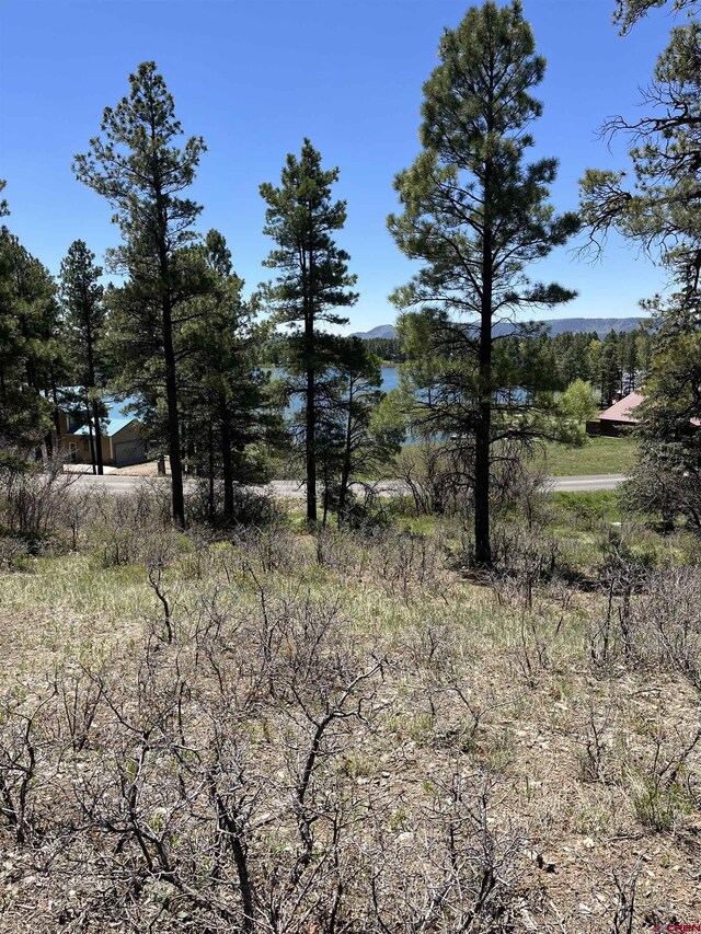 1318 Cloud Cap Ave, Pagosa Springs, CO 81147