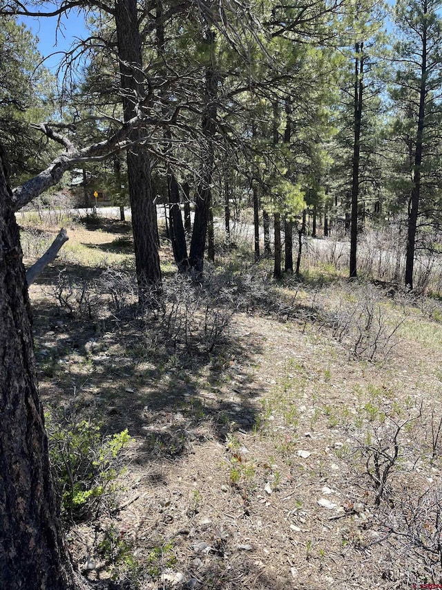 1318 Cloud Cap Ave, Pagosa Springs, CO 81147