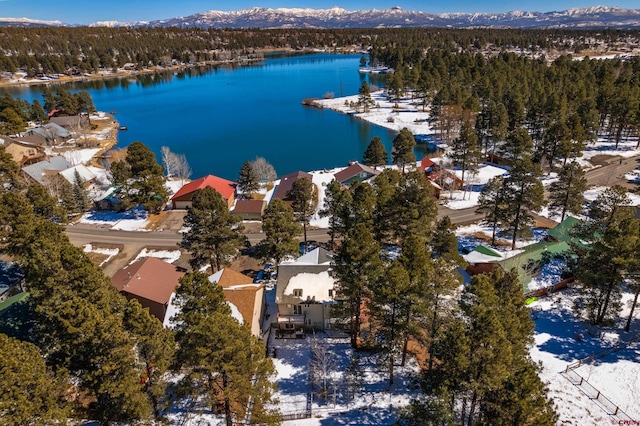 birds eye view of property featuring a residential view and a water and mountain view