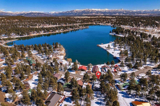 birds eye view of property with a water and mountain view