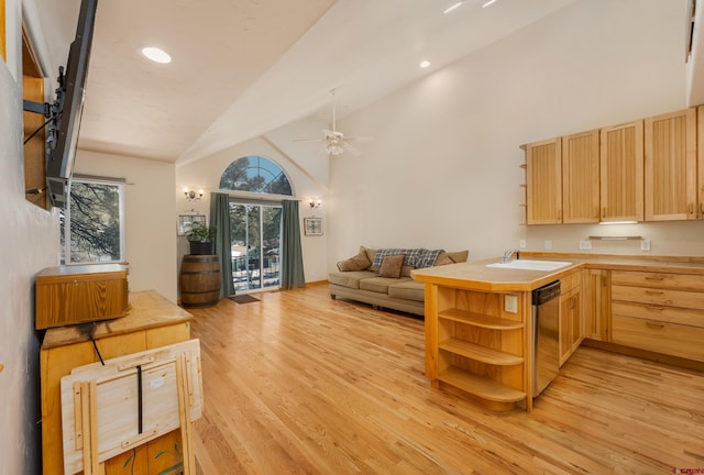 living room with light wood finished floors, plenty of natural light, and ceiling fan